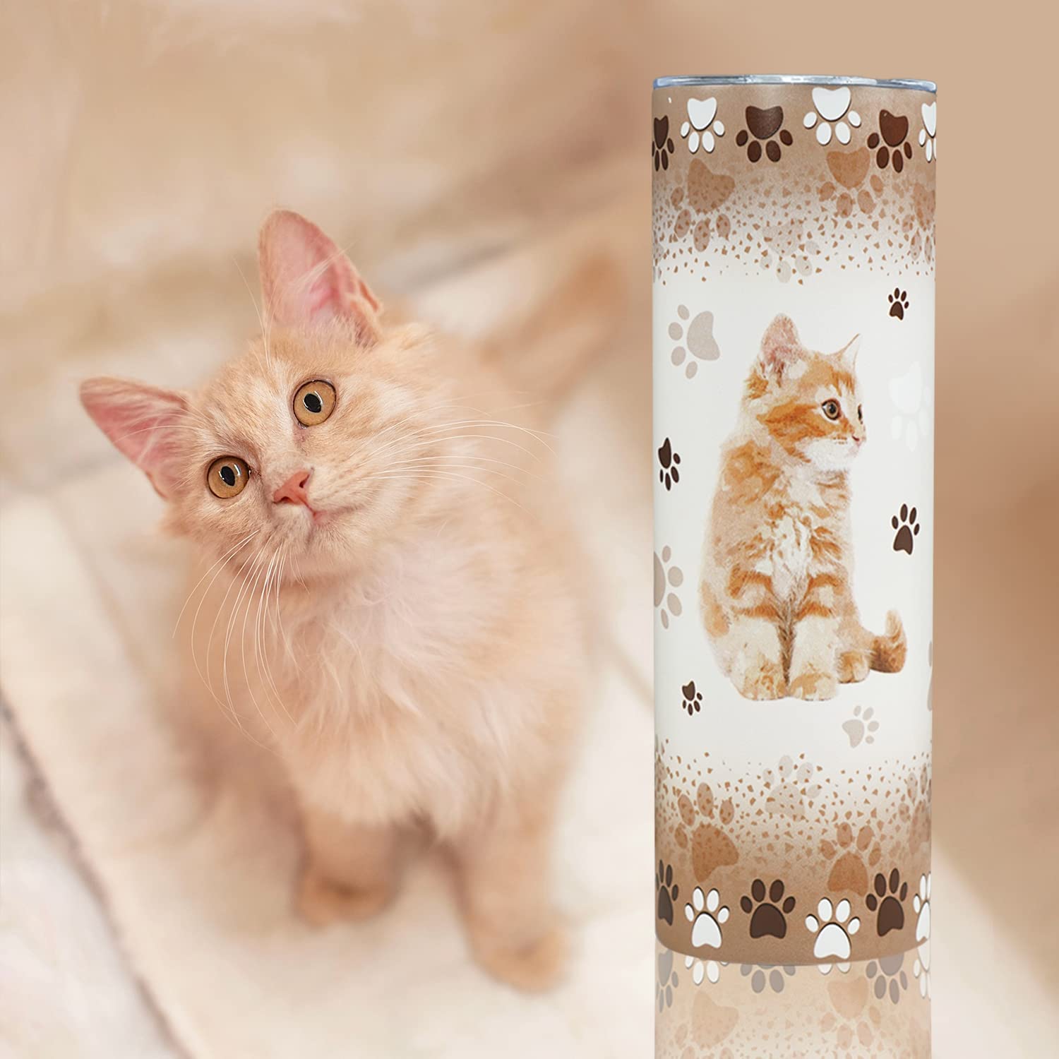 Cat Tumbler, Funny Cat Gifts for Cat Lovers, Cat Travel Mug/Coffee  Mugs/Water Bottle, Cat Lover Gifts for Women, Cute Cat Stuff/Decor for Cat  Lovers, Cat Themed Gifts for Women, Girls - Cat